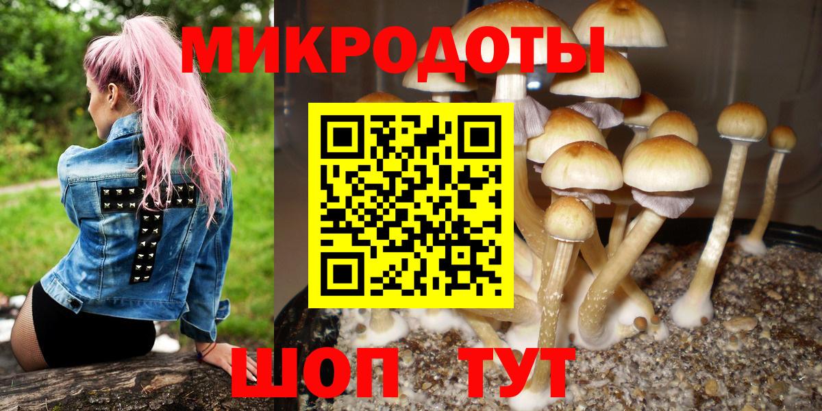 Галлюциногенные грибы Psilocybine cubensis  Вход с VPN  Железноводск 